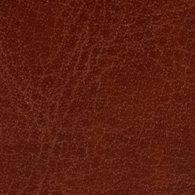Glossy Leatherette-Caramel