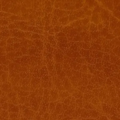 Glossy Leatherette-Brown