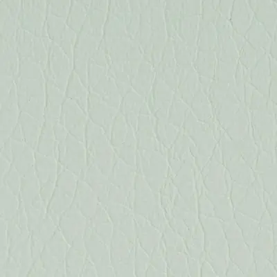Matte Leatherette-Pastel Mint