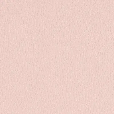 Matte Leatherette-Blush Pink